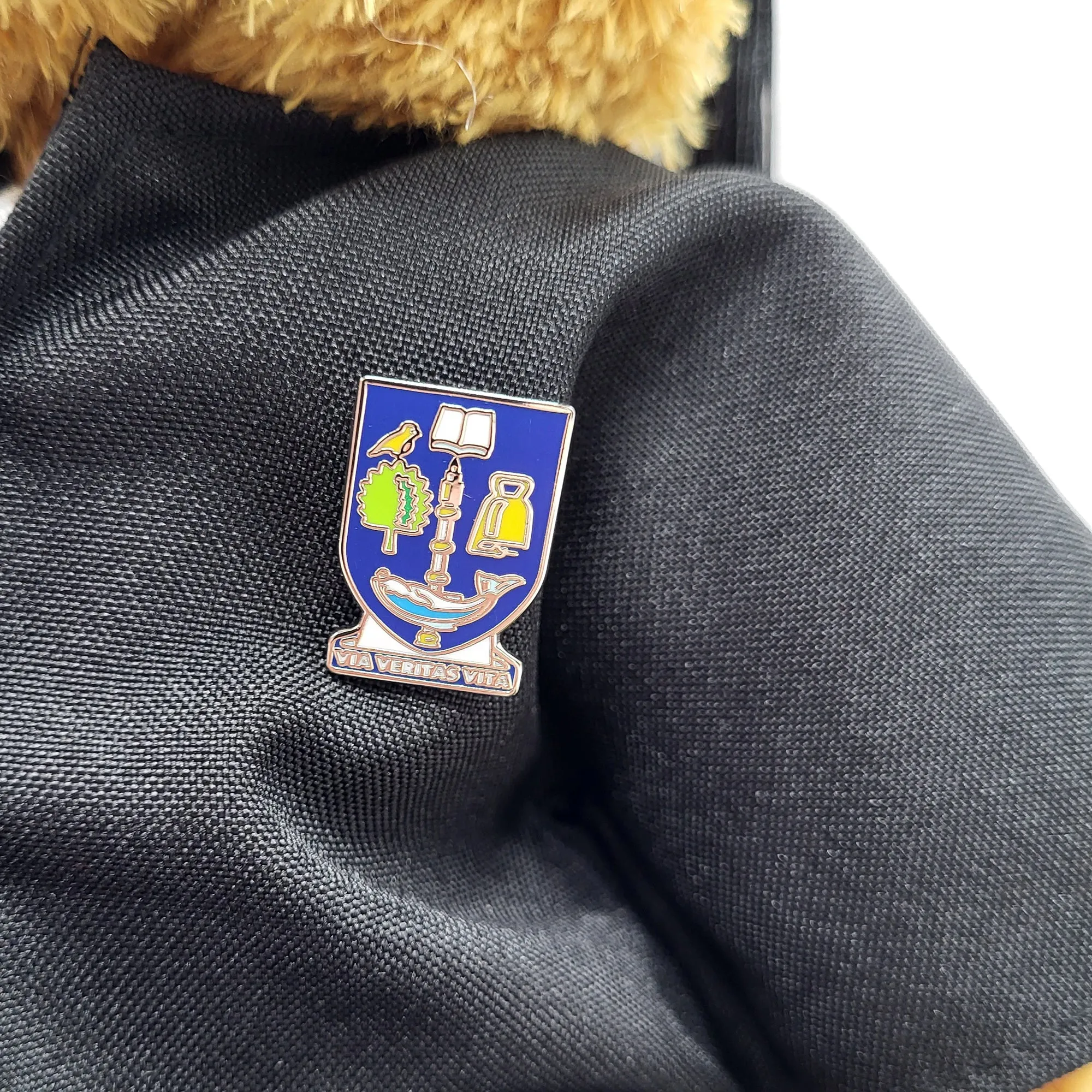Graduation Bear - General