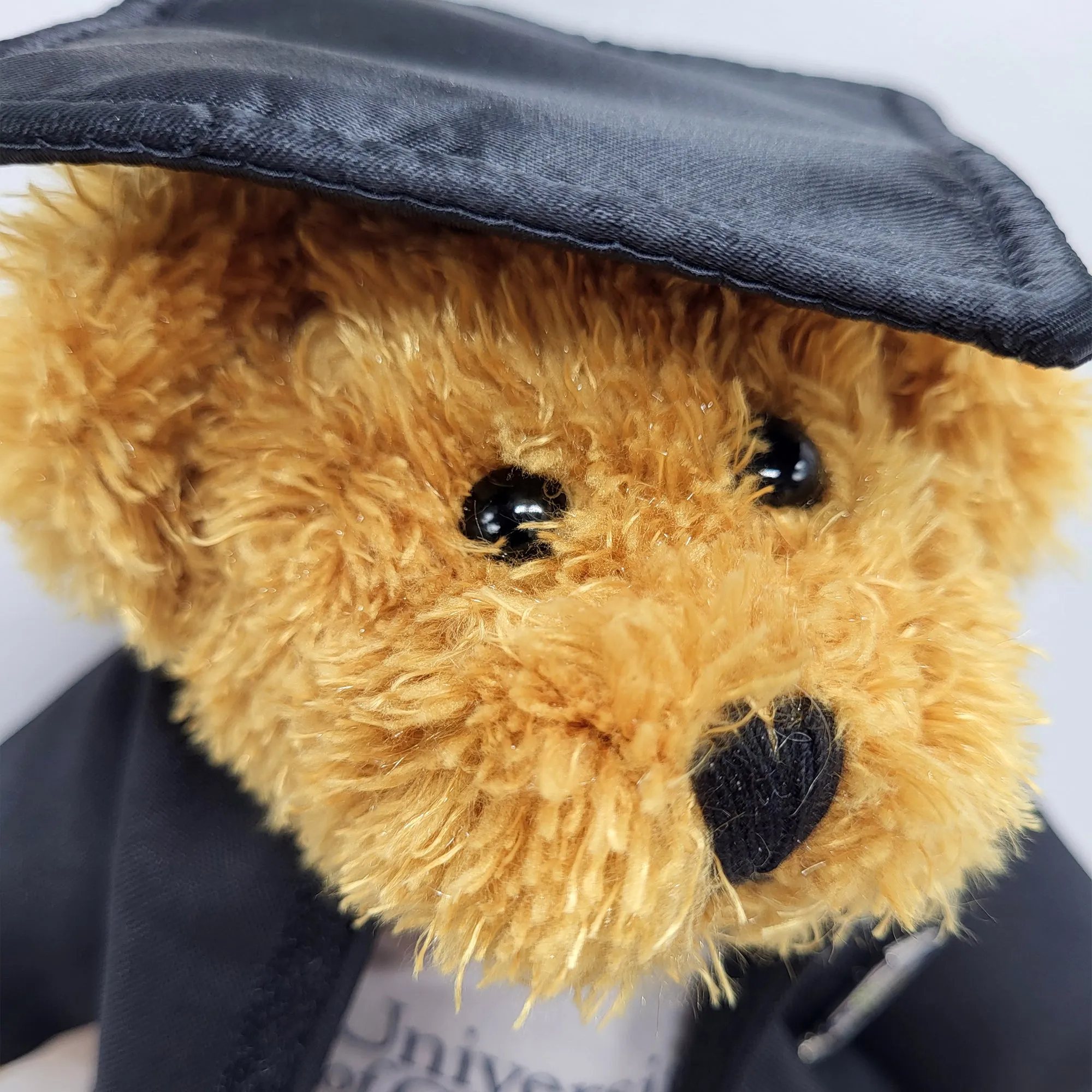 Graduation Bear - General