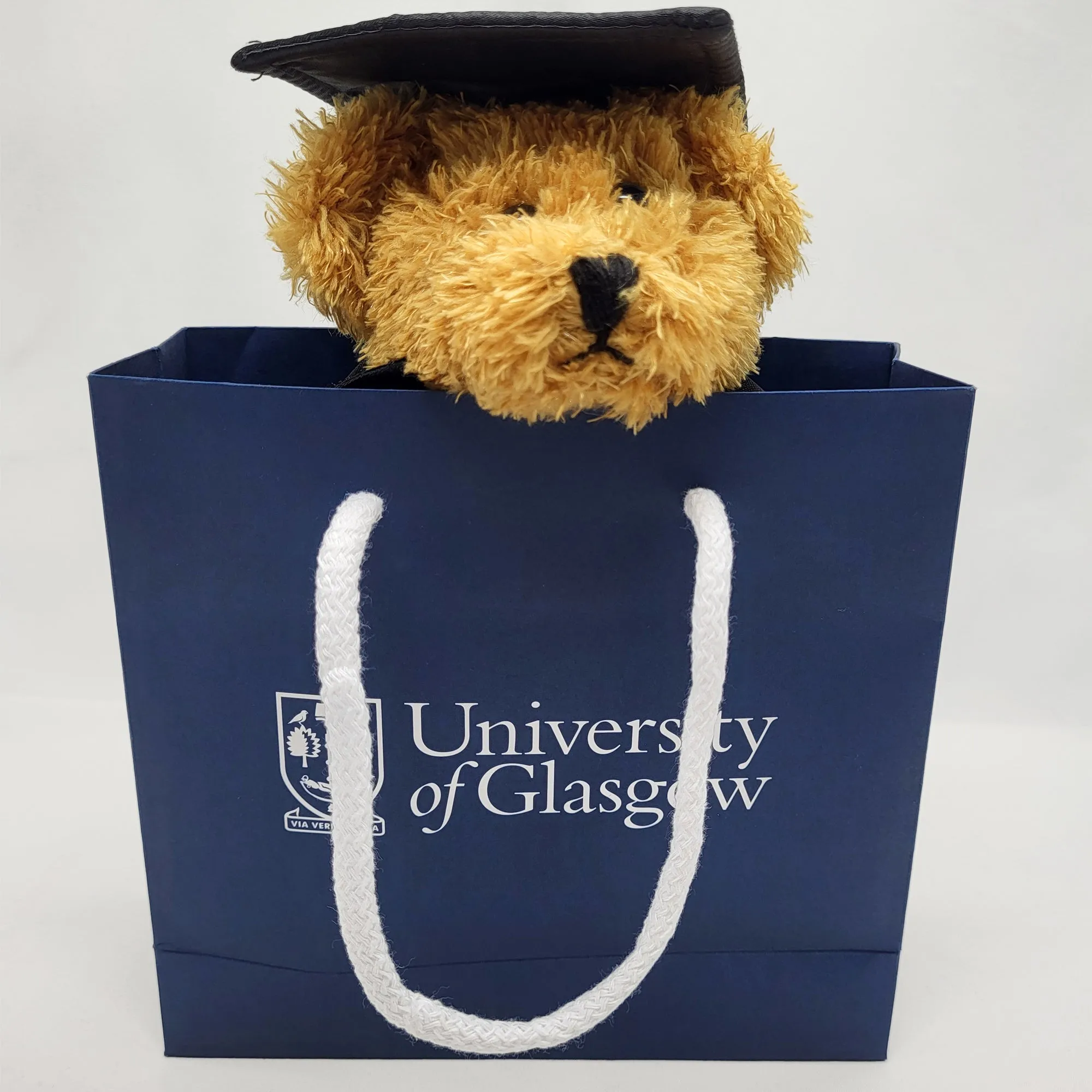 Graduation Bear - General