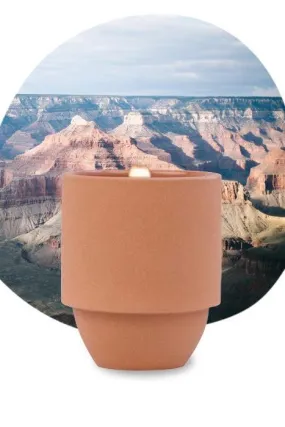 Parks - Grand Canyon - Cactus Flower & Fern