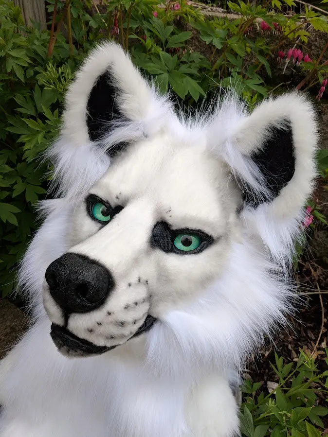 Solid Color Fursuit Head Order