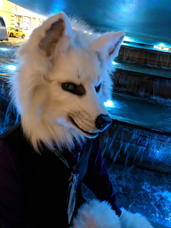 Solid Color Fursuit Head Order