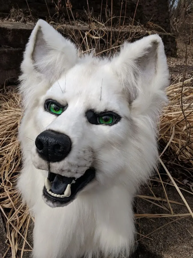 Solid Color Fursuit Head Order