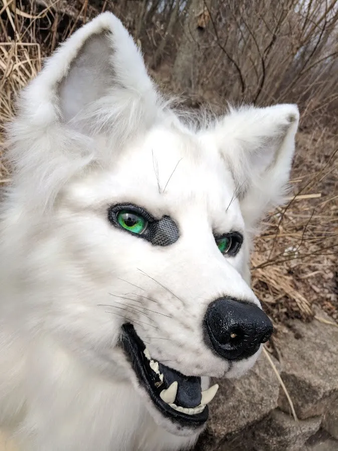 Solid Color Fursuit Head Order