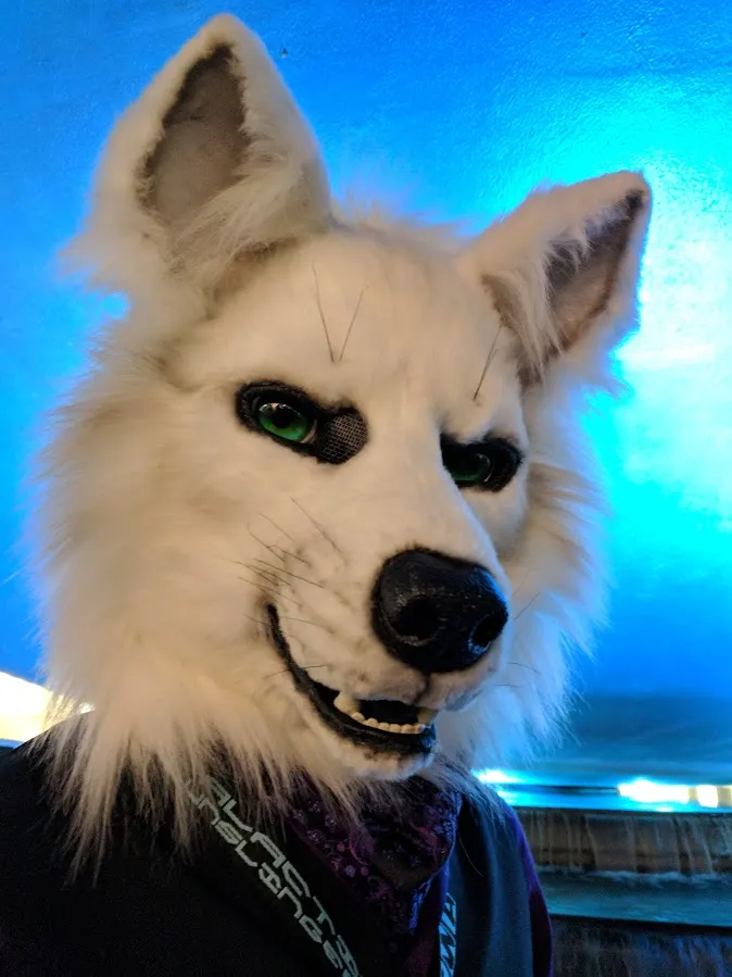 Solid Color Fursuit Head Order