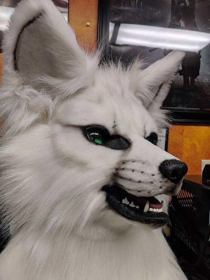 Solid Color Fursuit Head Order