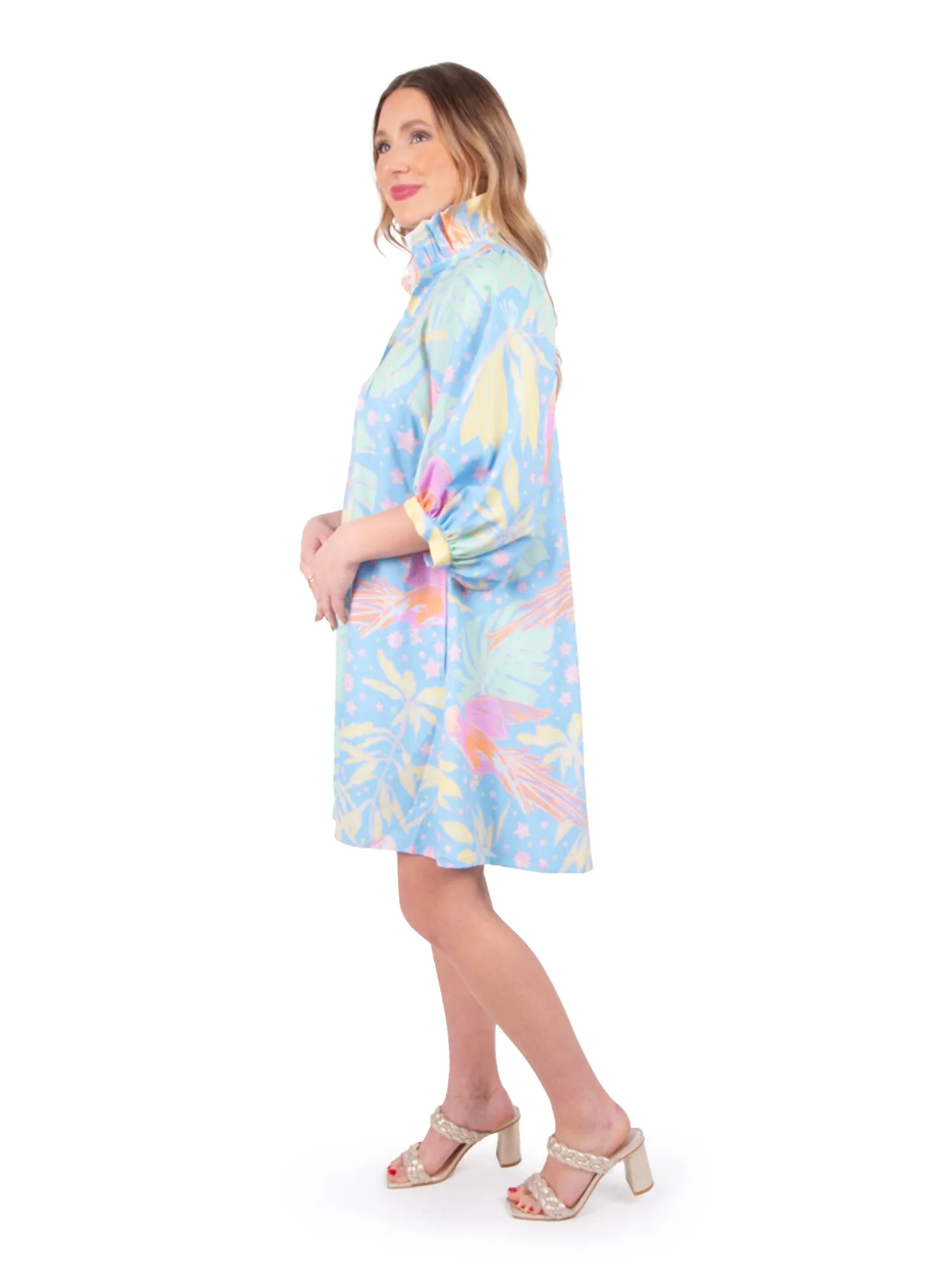Stella Dress - Parrot Party
